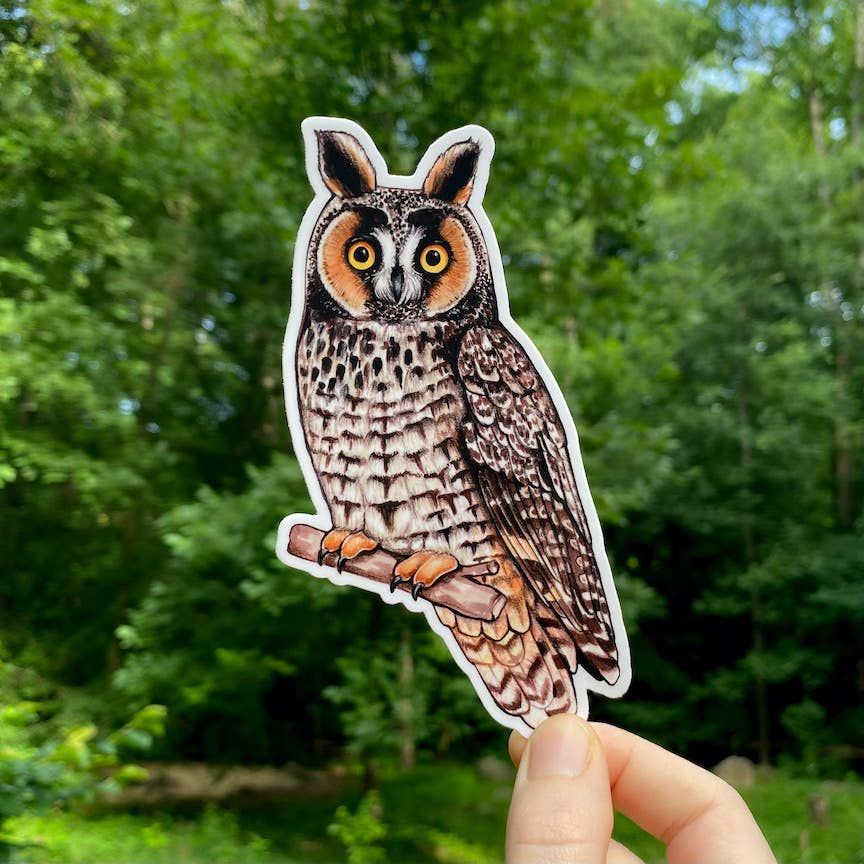 Long-eared Owl Vinyl Sticker