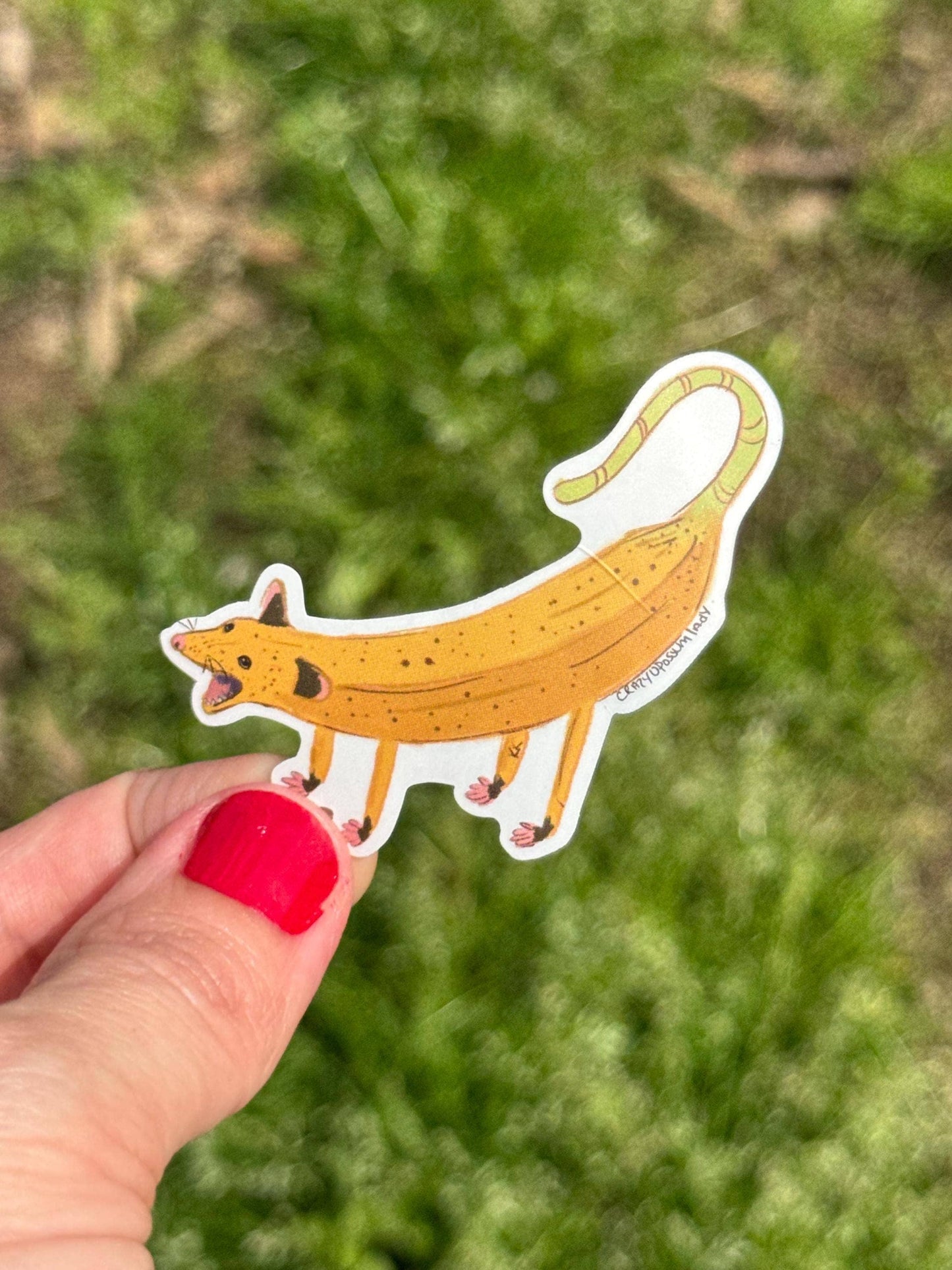 Screaming Banana Opossum Vinyl Sticker