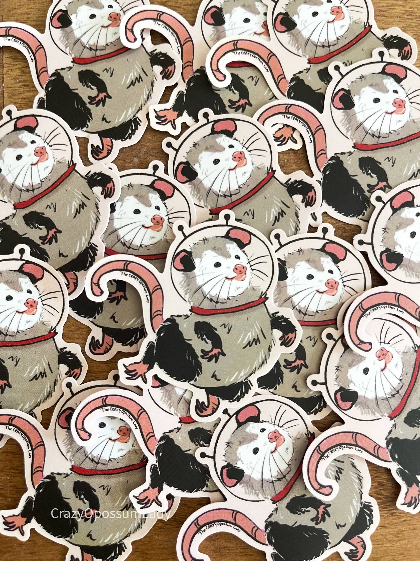 Space Opossum Vinyl Sticker