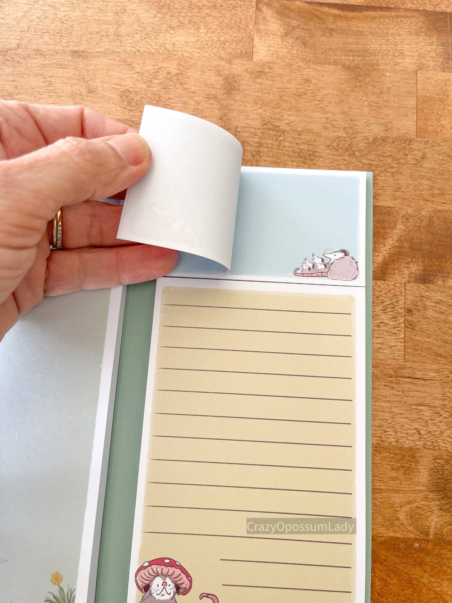 Opossum Notepad Booklet Stationery