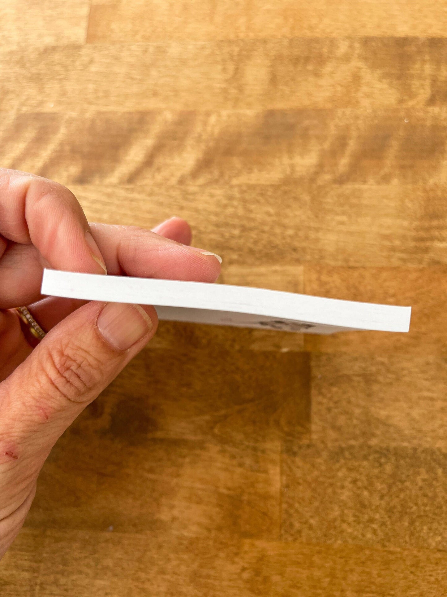 Space Opossum Notepad Stationery