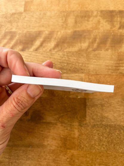 Space Opossum Notepad Stationery