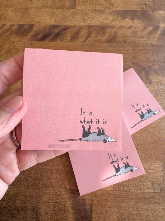 It Is What It Is Opossum Notepad Stationery