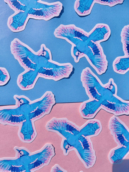 Bluejay Vinyl Sticker