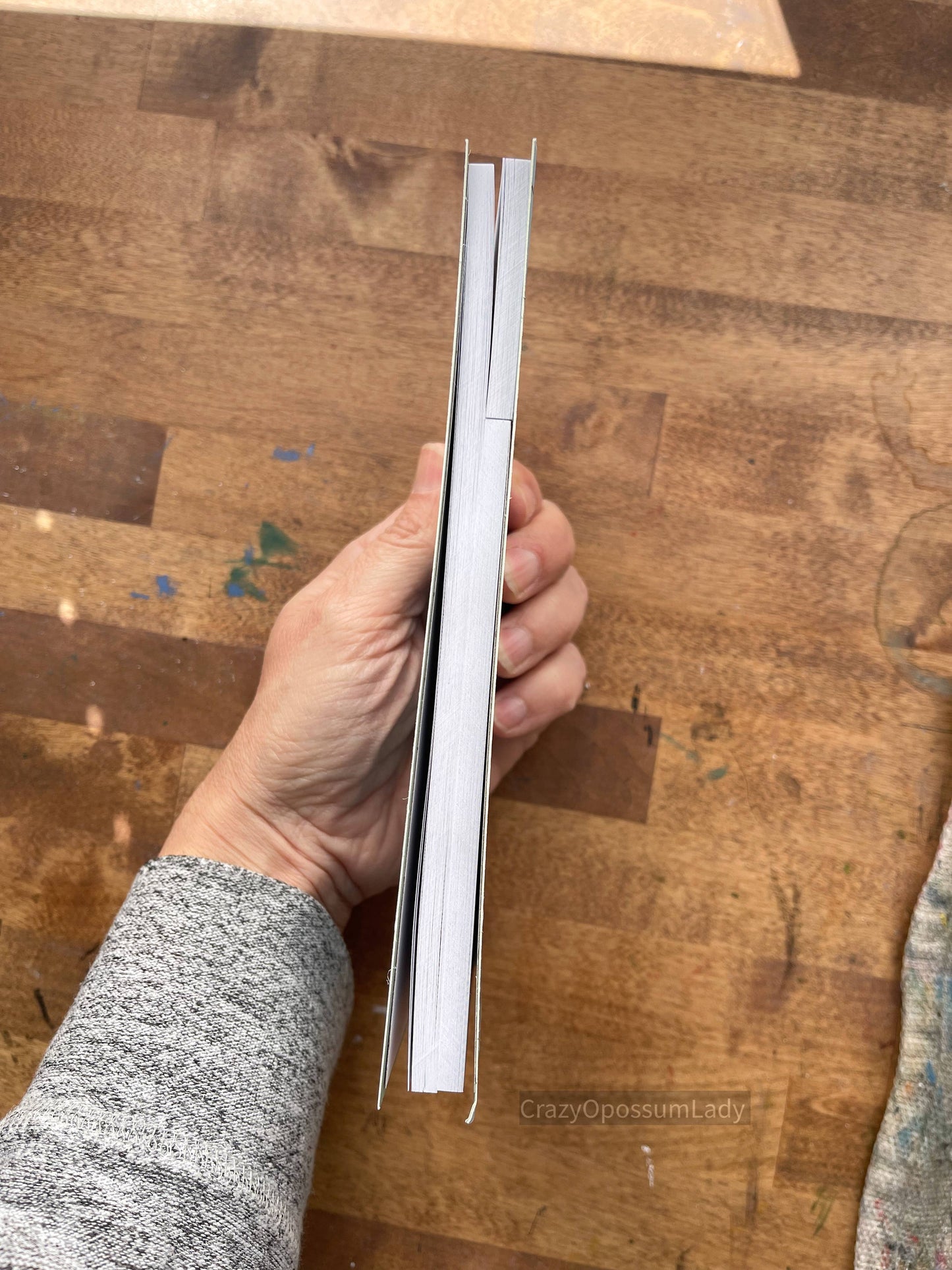 Opossum Notepad Booklet Stationery