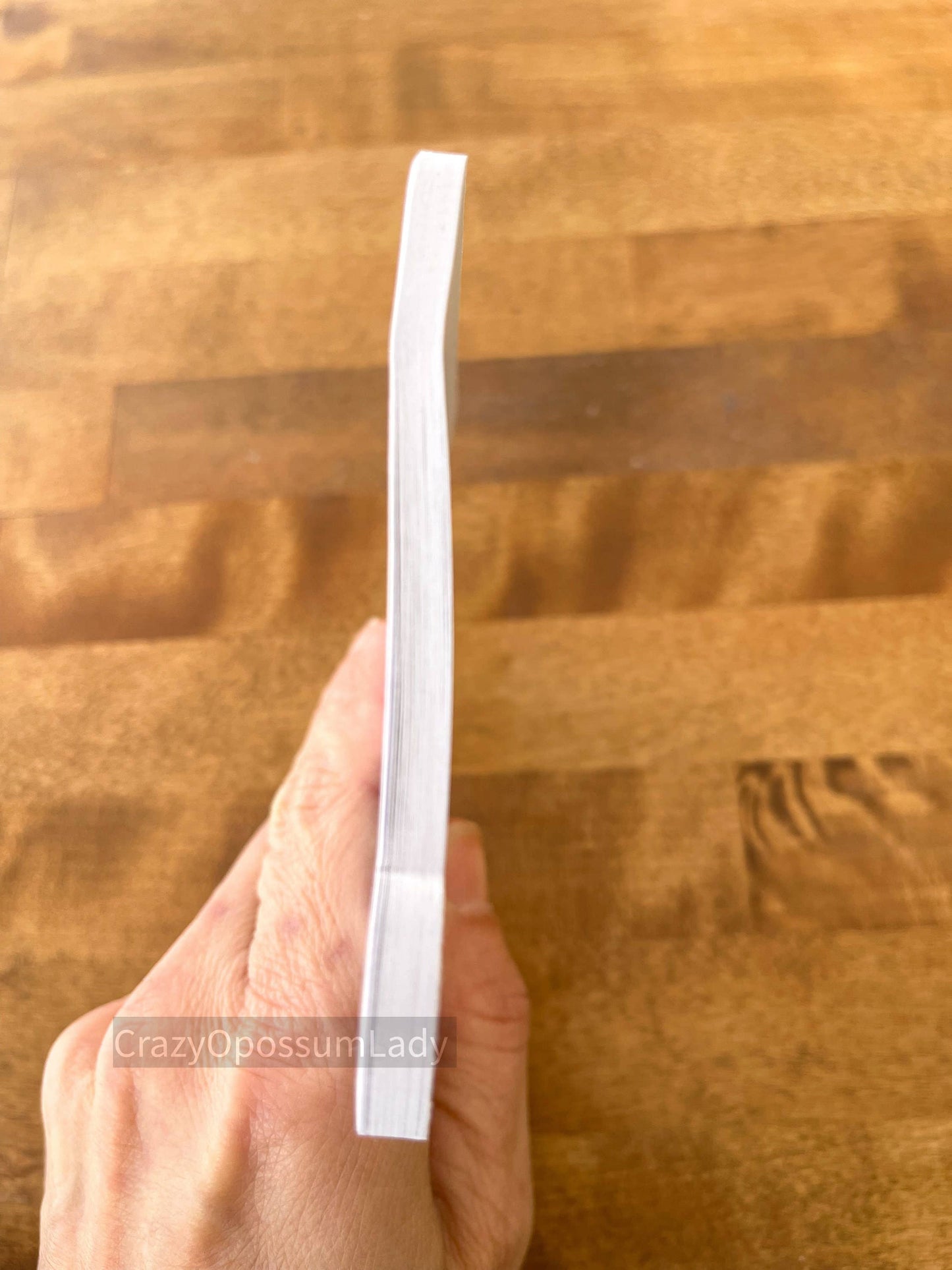 Today I Choose Violence Large Opossum Notepad Stationery