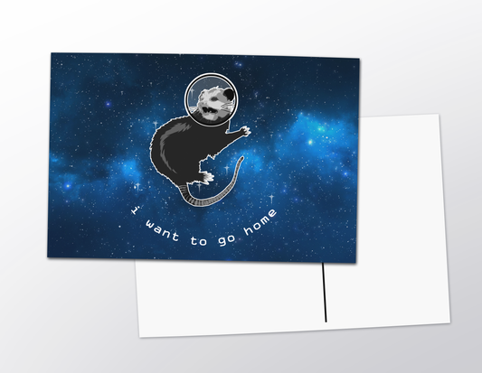 Opossum In Space Postcard