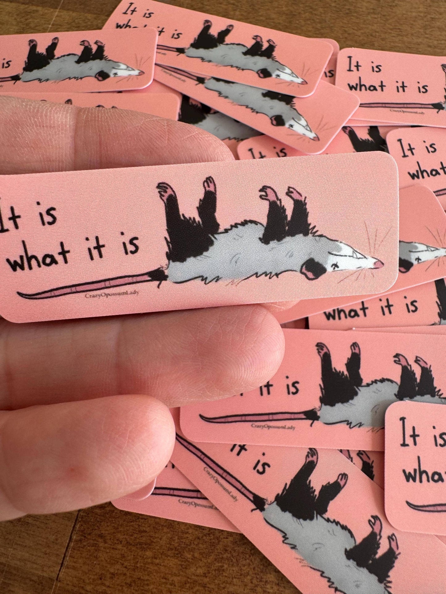 It Is What It Is Opossum Vinyl Sticker