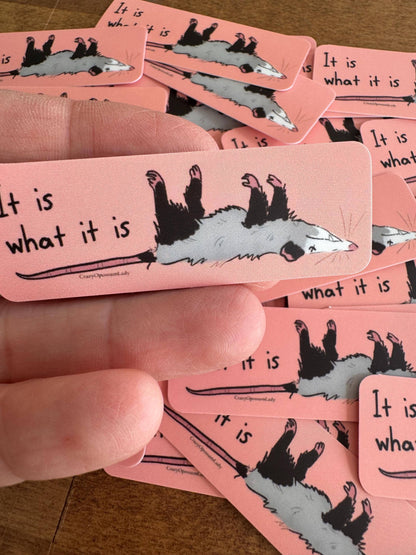 It Is What It Is Opossum Vinyl Sticker