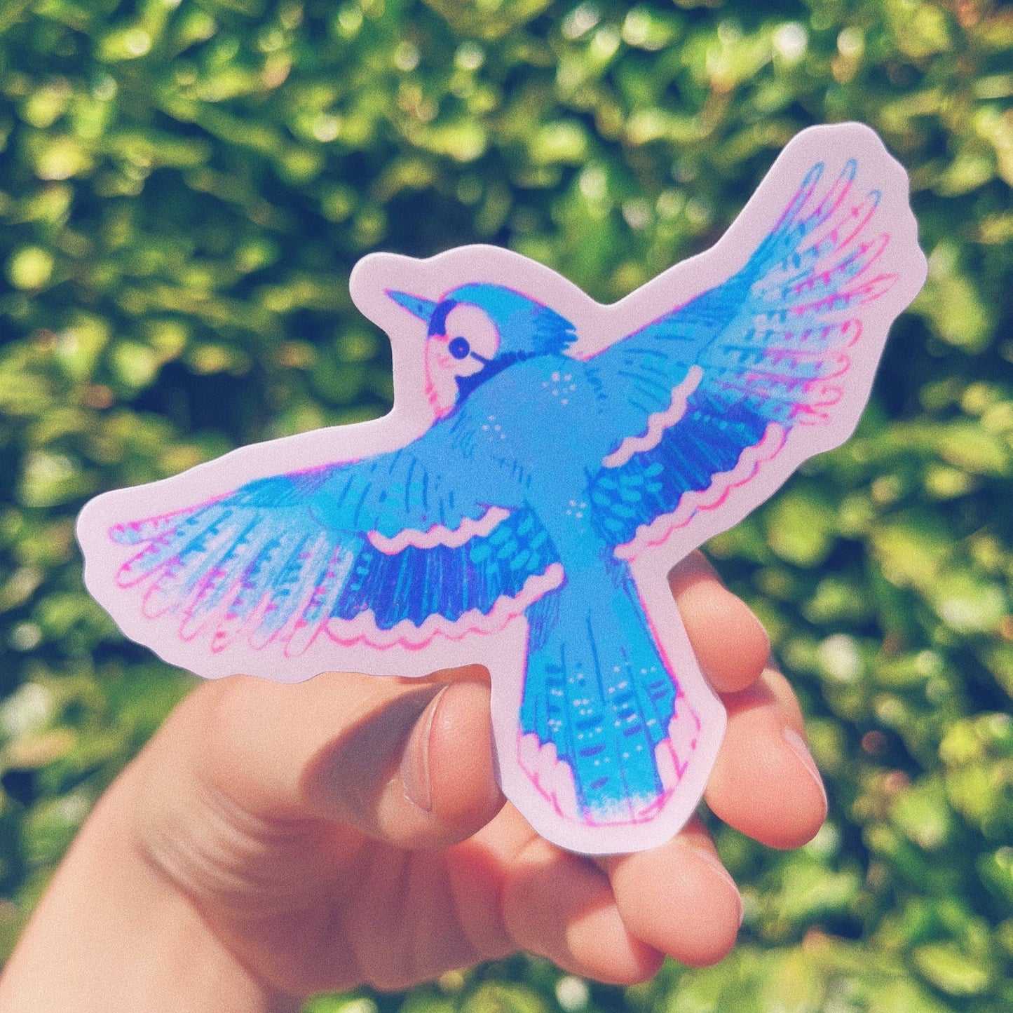 Bluejay Vinyl Sticker