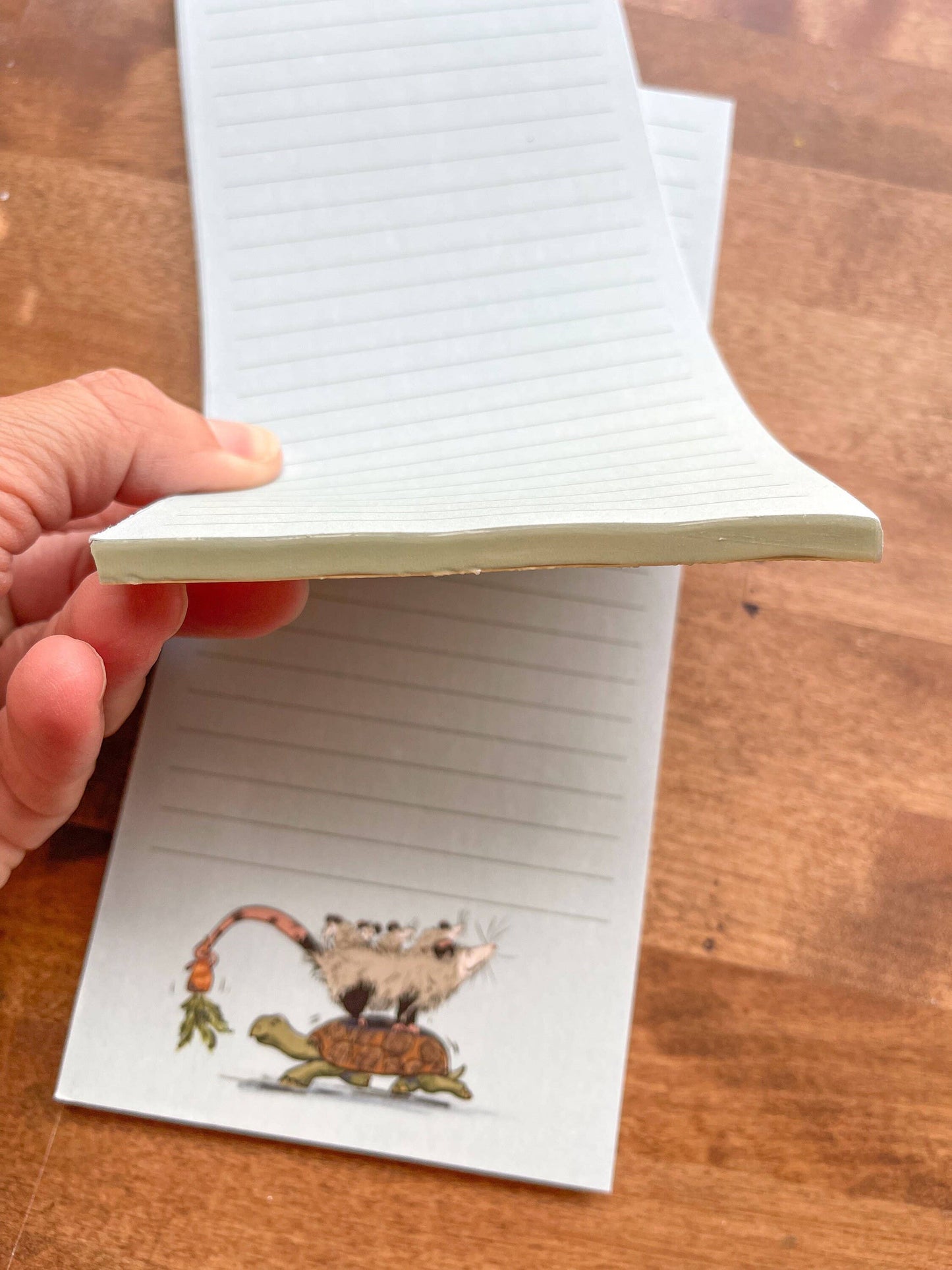 To-Do List Opossum and Tortoise Notepad