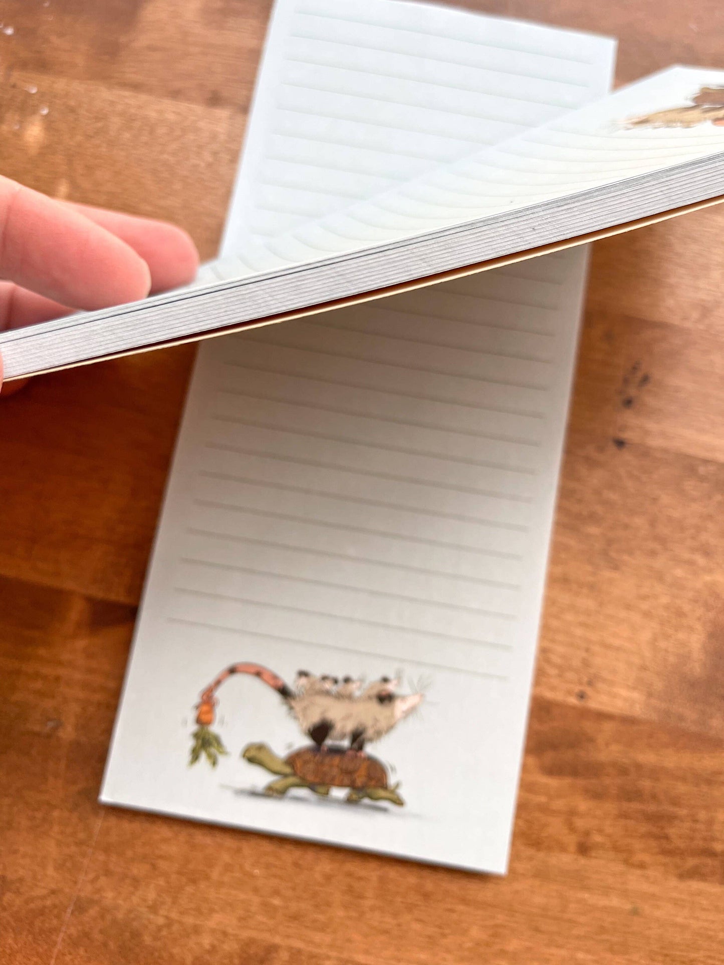 To-Do List Opossum and Tortoise Notepad