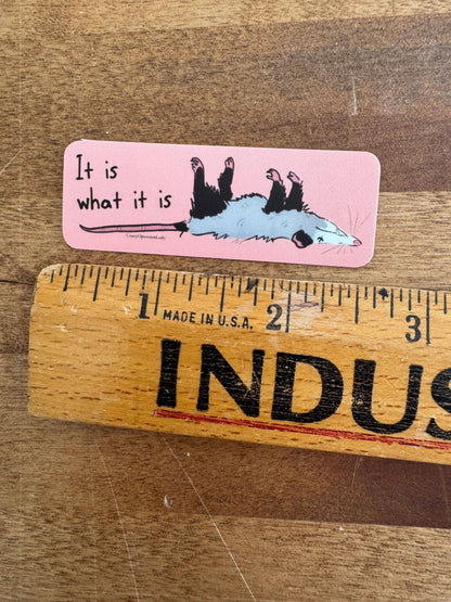 It Is What It Is Opossum Vinyl Sticker