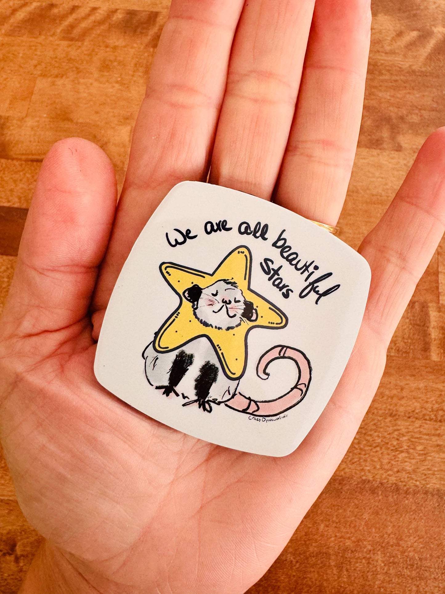 Beautiful Stars Opossum Magnet