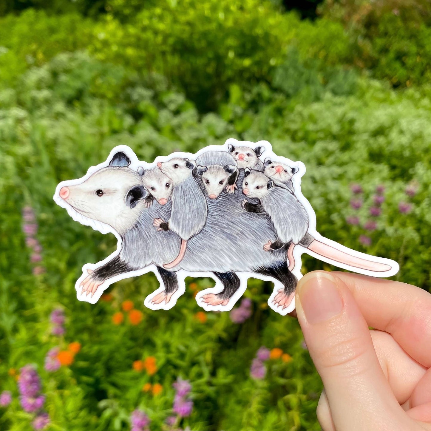 Mom Opossum with Joeys Vinyl Sticker