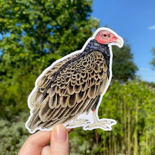 Turkey Vulture Vinyl Sticker