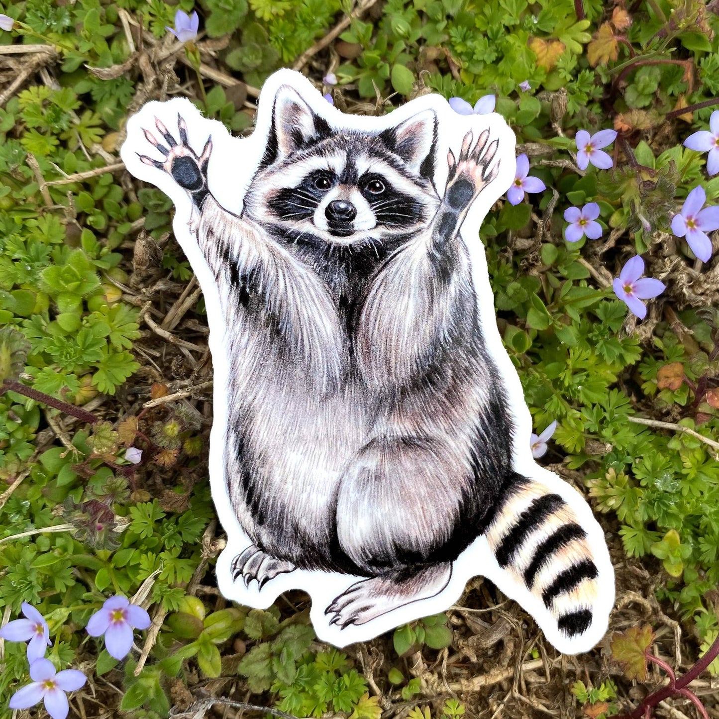 Raised Arms Raccoon Vinyl Sticker