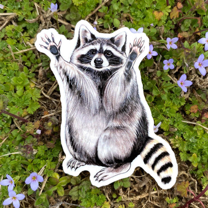 Raised Arms Raccoon Vinyl Sticker