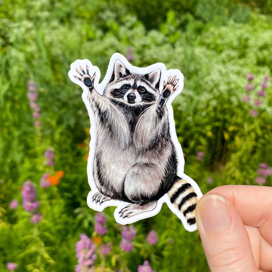 Raised Arms Raccoon Vinyl Sticker