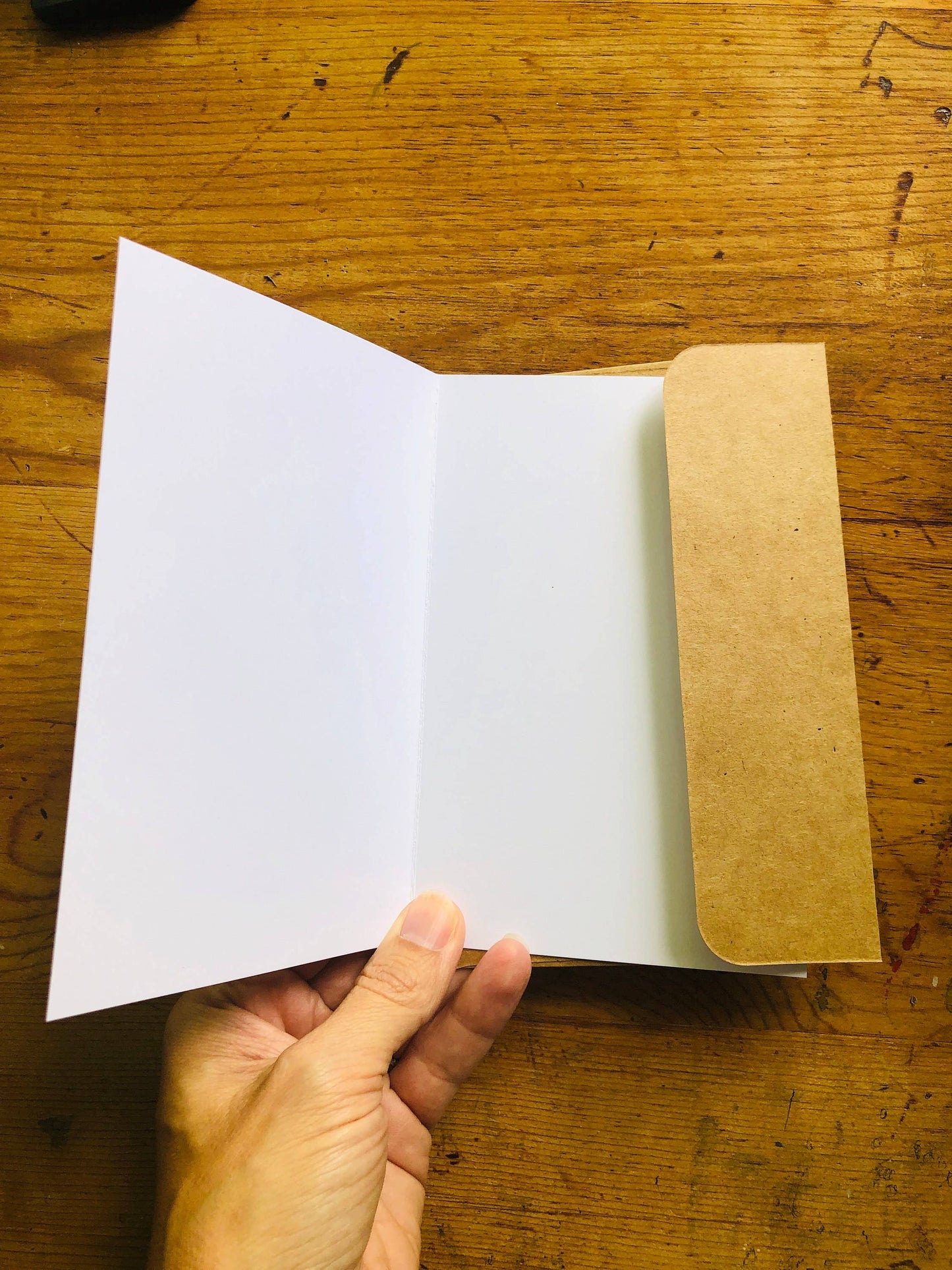 Birthday Hat Opossum Card and Envelope