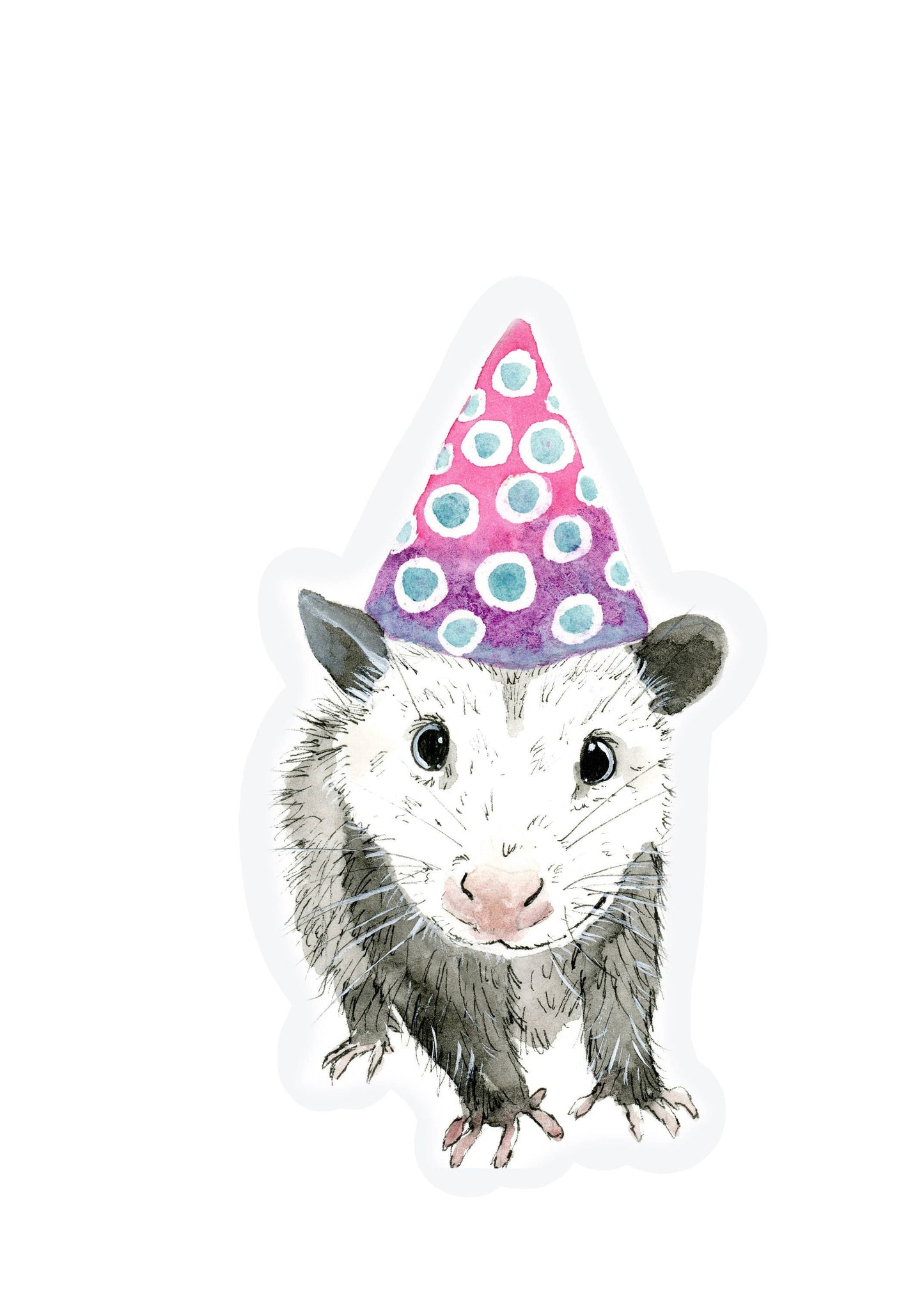 Birthday Hat Opossum Card and Envelope