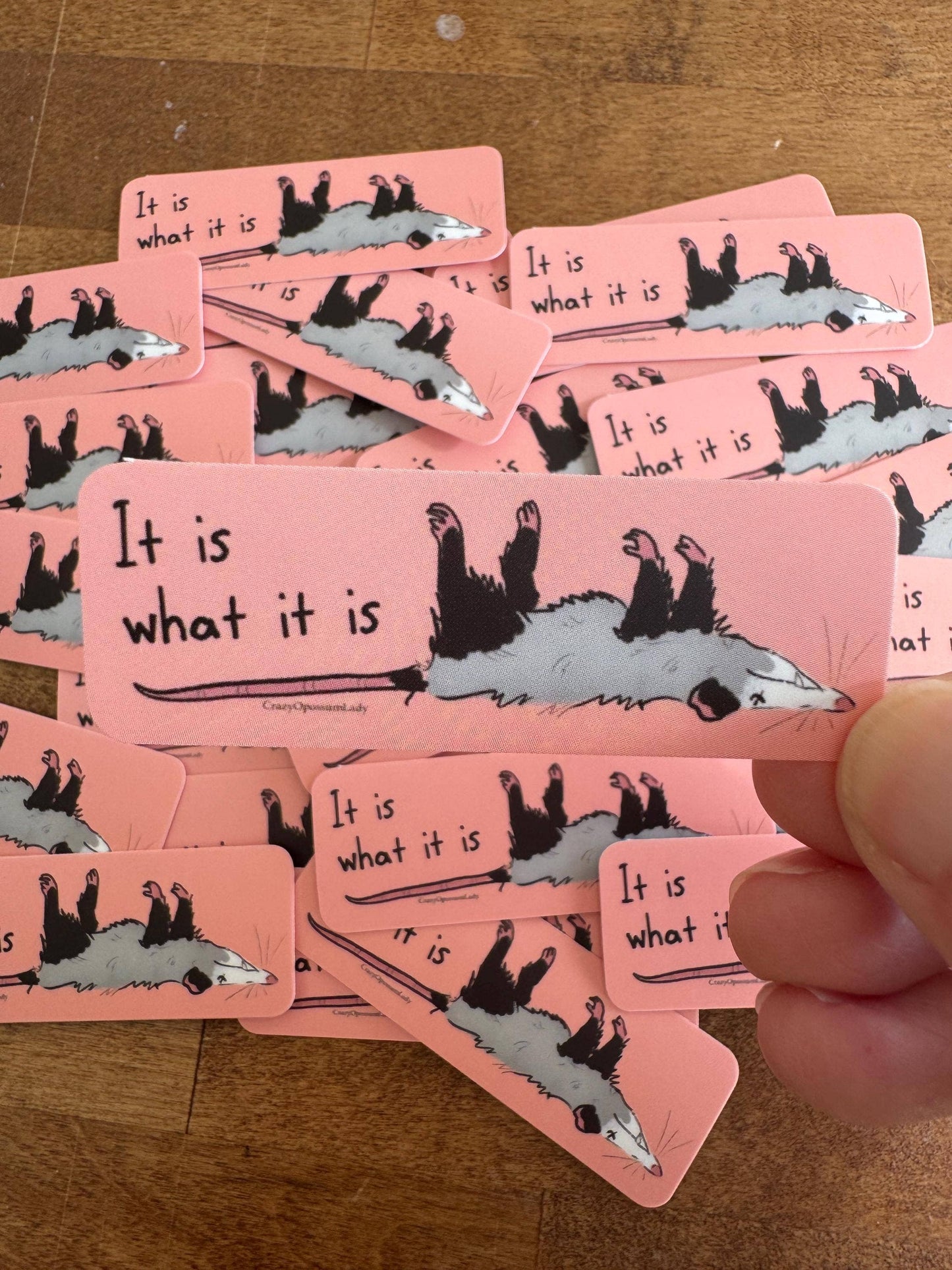 It Is What It Is Opossum Vinyl Sticker