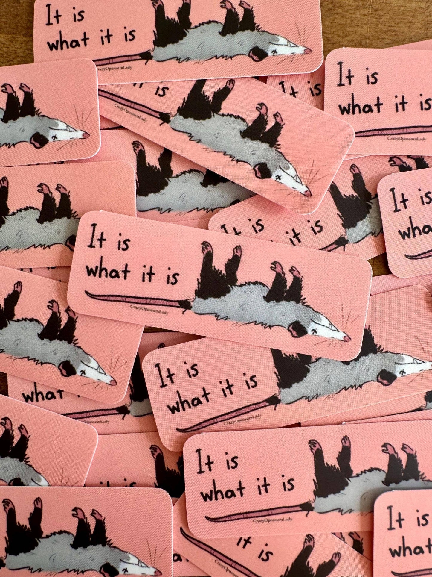It Is What It Is Opossum Vinyl Sticker