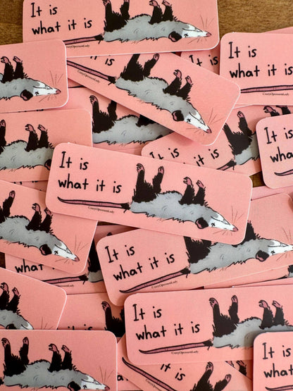 It Is What It Is Opossum Vinyl Sticker