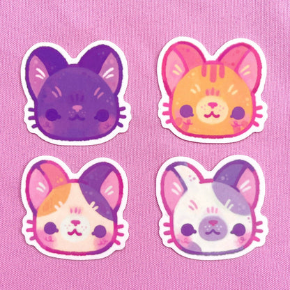 Cat Temporary Tattoo Pack