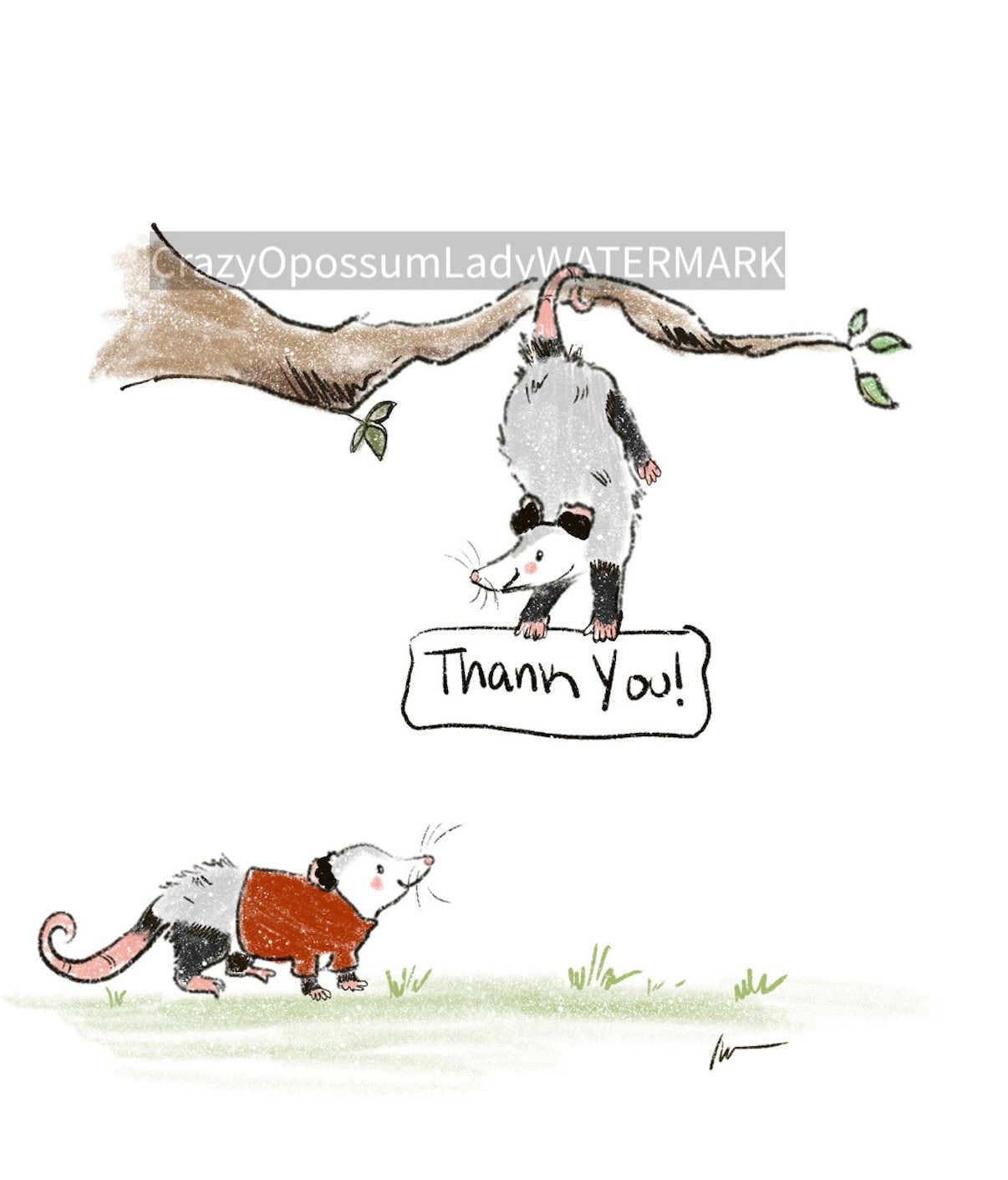 Thank You Opossum Card and Envelope