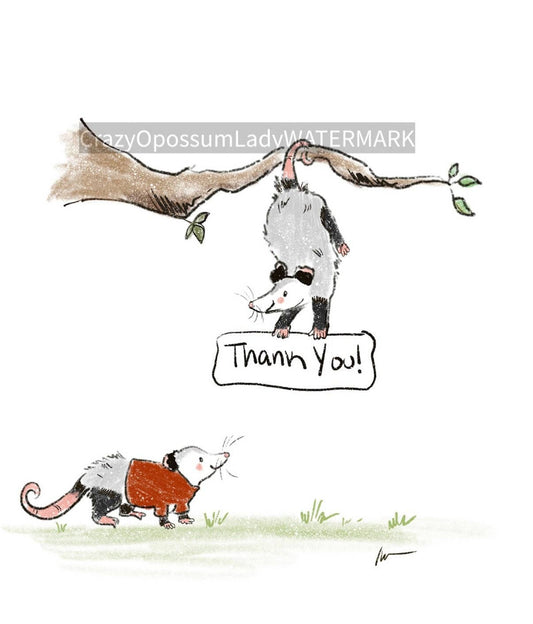 Thank You Opossum Card and Envelope