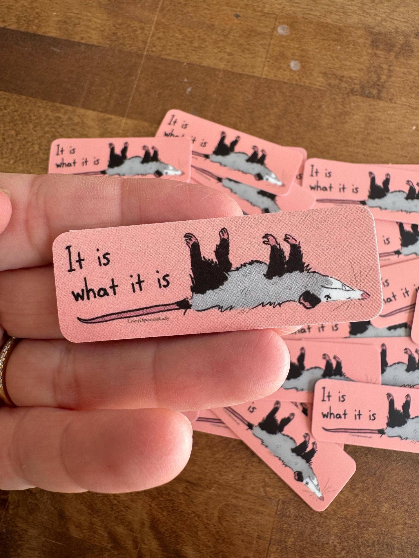 It Is What It Is Opossum Vinyl Sticker