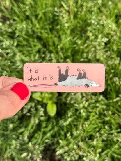 It Is What It Is Opossum Vinyl Sticker