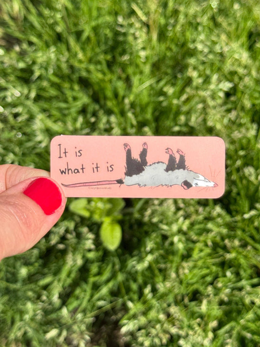 It Is What It Is Opossum Vinyl Sticker